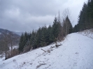 2013_WiWa-Tag_20