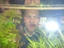 Kekserlausteilen_17