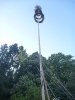 Maibaum aufstellen_55