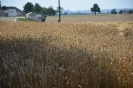 Ferienpassaktion_15