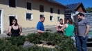 Maibaumaufstellen_11