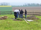 Maibaumaufstellen_14