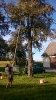 Mostpressen_4