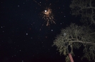 Silvester_236