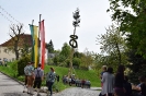 Maibaumaufstellen_116
