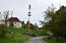 Maibaumaufstellen_117