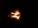 Silvester_2